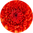 Quejobam profile picture