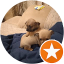 Javier Gómez reyes profile picture